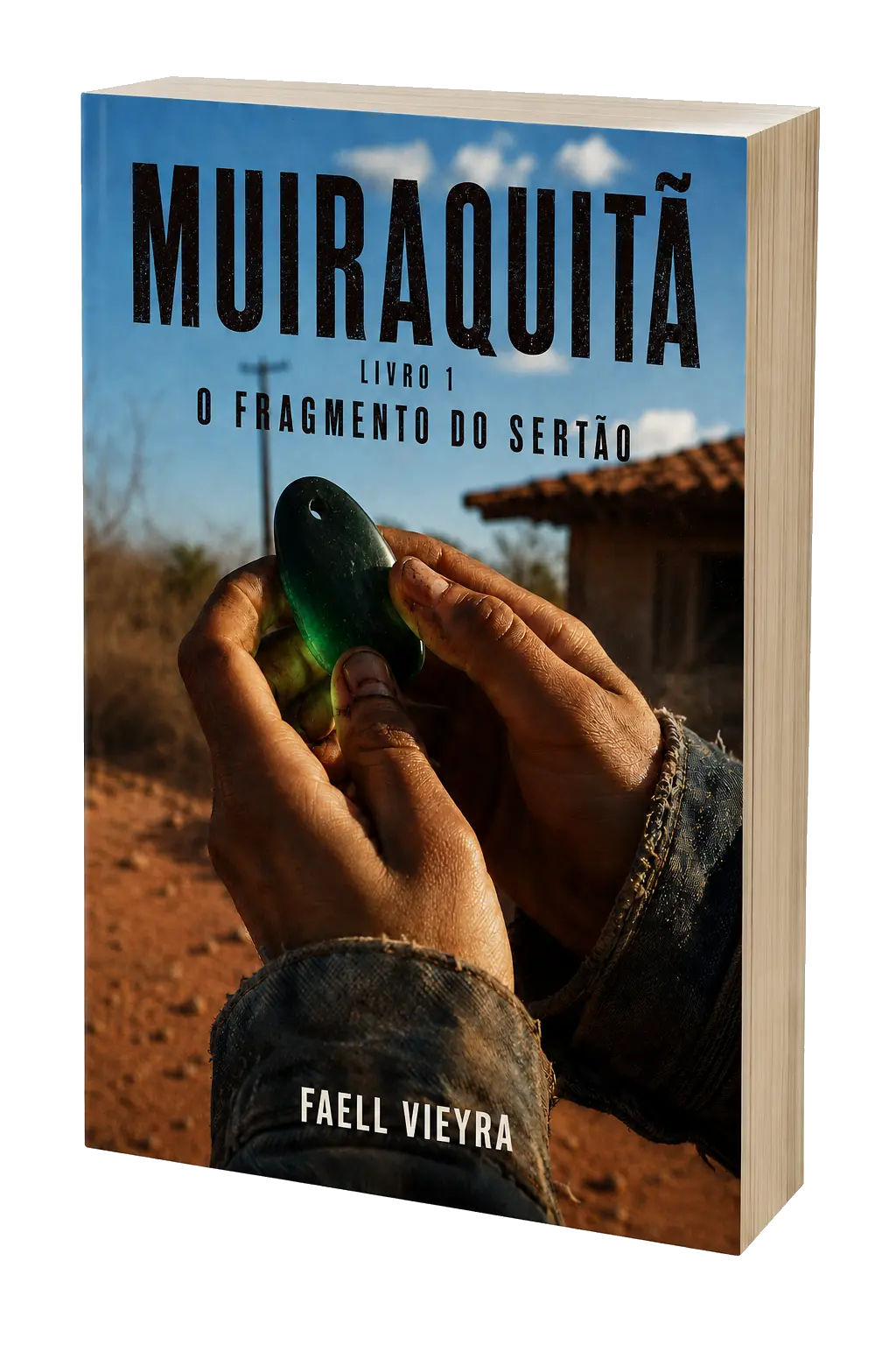 Livro Muiraquitã em perspectiva
